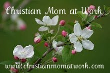 Christian Mom at Work