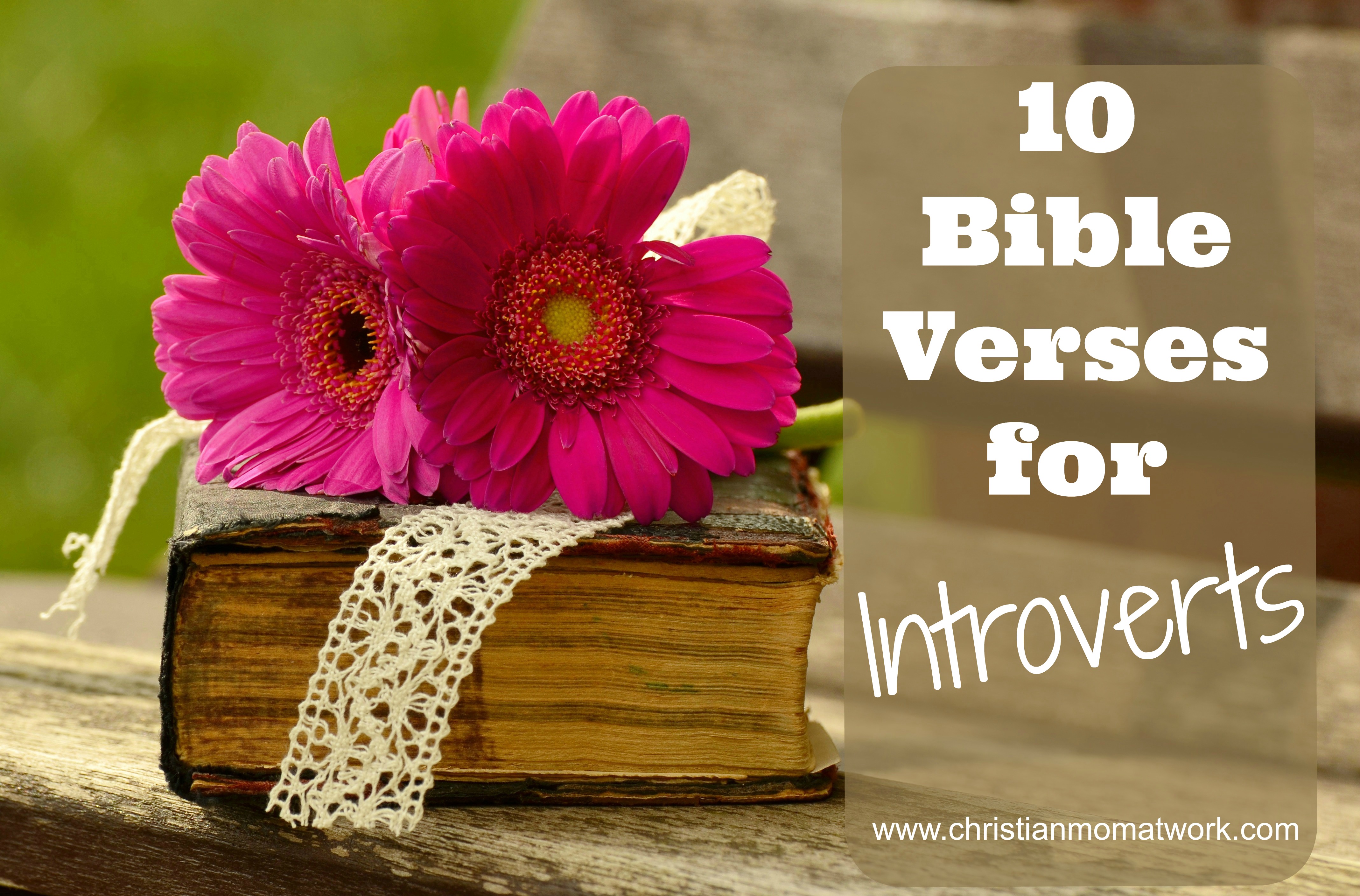 Being Content as Christian - Christian Introvert